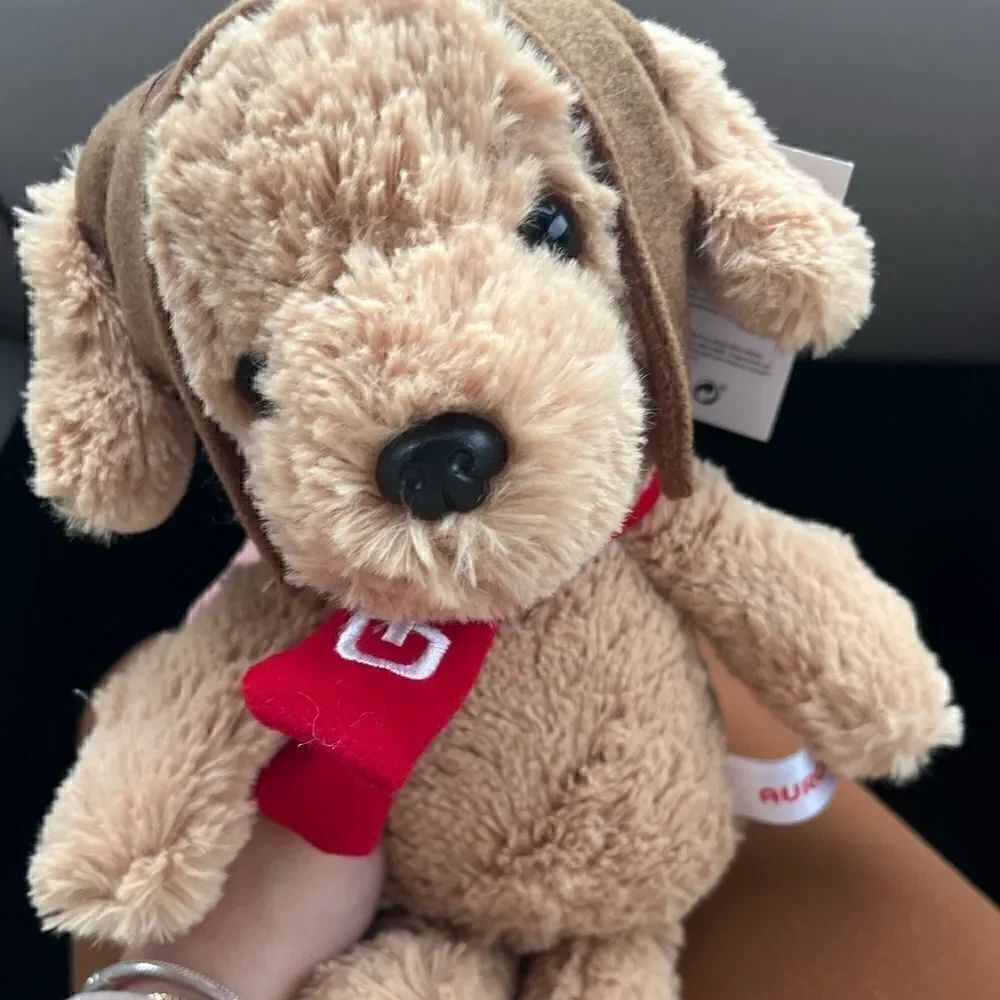 Cute golden retriever plush toy with aviator “top gun” costume - brand new